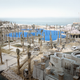 Illustration for article titled Photos of animals wandering a post-human Dubai